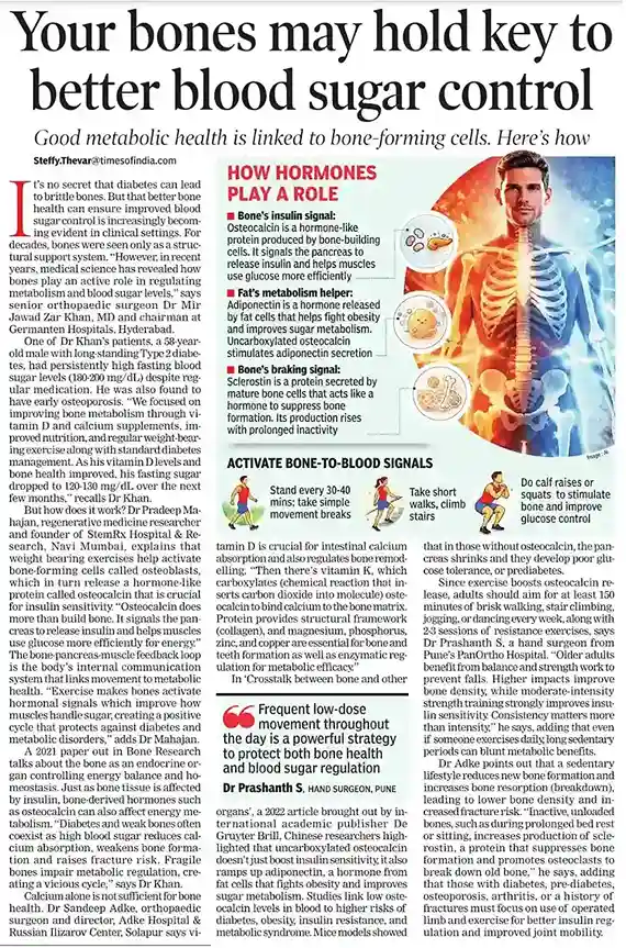Times of India - Bones and Blood Sugar Control