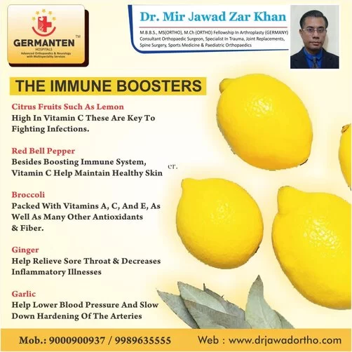 Immune System Supplements