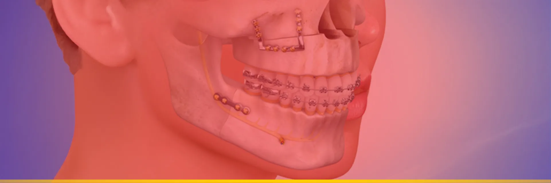 Dental & Maxillofacial